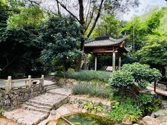 -石溪公园
