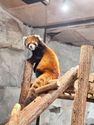 -Zoolung Zoolung动物主题公园(海信广场店)