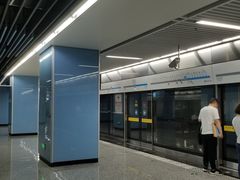 -大龙山(地铁站)