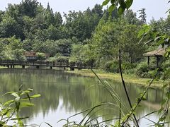 -桤木河湿地公园