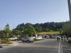 -铁山坪森林公园