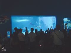 -常州海昌海洋探索馆
