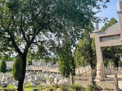 -原山国家森林公园