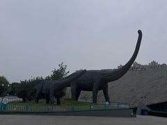 -安徽省地质博物馆