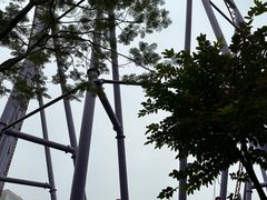 -广州长隆欢乐世界