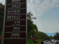 -铁山坪森林公园