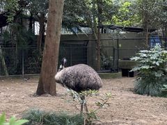 -上海动物园(地铁站)