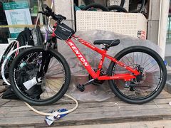 -道路口单车爱瓦士dahon大行