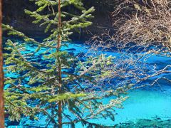 -西姆山居酒店(九寨沟沟口店)