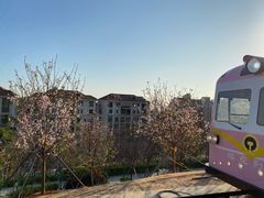 -小南山公园