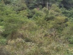 -溪口-滕头旅游景区