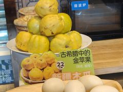 -双公羊·馕坑烤全羊(奥体店)