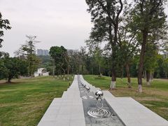 -广西壮族自治区药用植物园