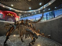 -国家自然博物馆