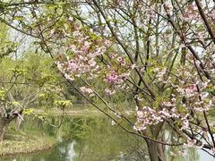 -梁鸿国家湿地公园