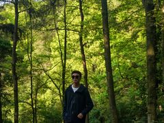 -铁山坪森林公园