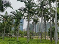 -宝安西湾红树林湿地公园