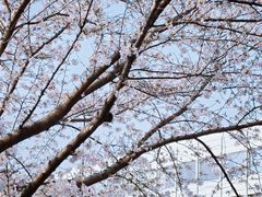 -杨高南路(地铁站)