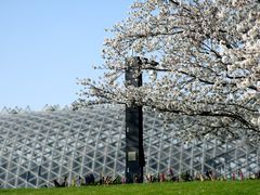 -上海辰山植物园