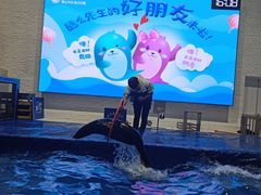 -Mr·Kuma酷么先生雪之乐园