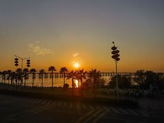 -宝安西湾红树林湿地公园