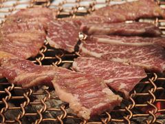 -农乐园炭火烤肉(繁花中心店)