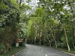 -浙江西子宾馆·瑶园咖啡厅