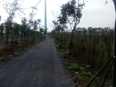 -长兴岛郊野公园农场食堂