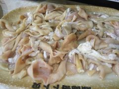 -顺德哥卜卜贝(旗舰店)