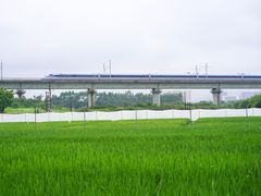 -光明小镇欢乐田园