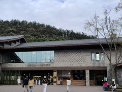 -都江堰中华大熊猫苑