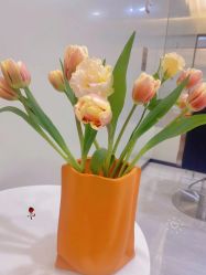 -YESIDO BLACK椰岛造型