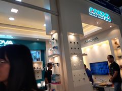 -正斗潮州卤鹅