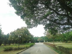 -南沙蒲洲花园