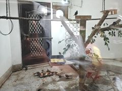 -青藏高原野生动物园