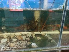 -北港方记海鲜楼·海景餐厅