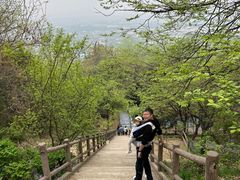 -盛世牡丹苑生态文化旅游区