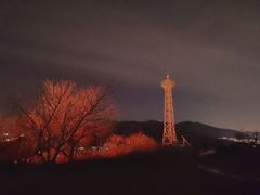 -红光山
