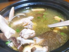 -呼吸森林·生态农庄农家乐私房菜