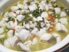 -青花椒花椒鱼(合生汇店)