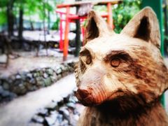 -宫城藏王狐狸村