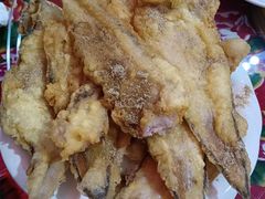 -老黄县饭馆(金都文化商城店)