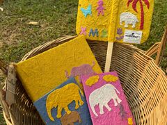 -大象粑粑造纸公园