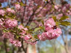 -远洋未来广场(育慧北路店)
