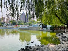 -团结湖公园