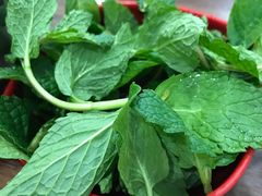 -攀枝花·任德琼·盐边羊肉米线
