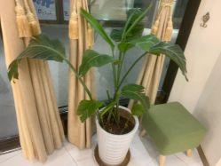 -芳朵美容养生SPA