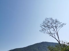 -海南霸王岭国家森林公园
