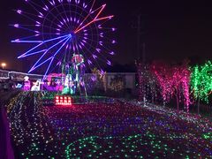 -菊园百果园