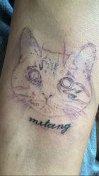 -腾龙刺青纹身TATTOO